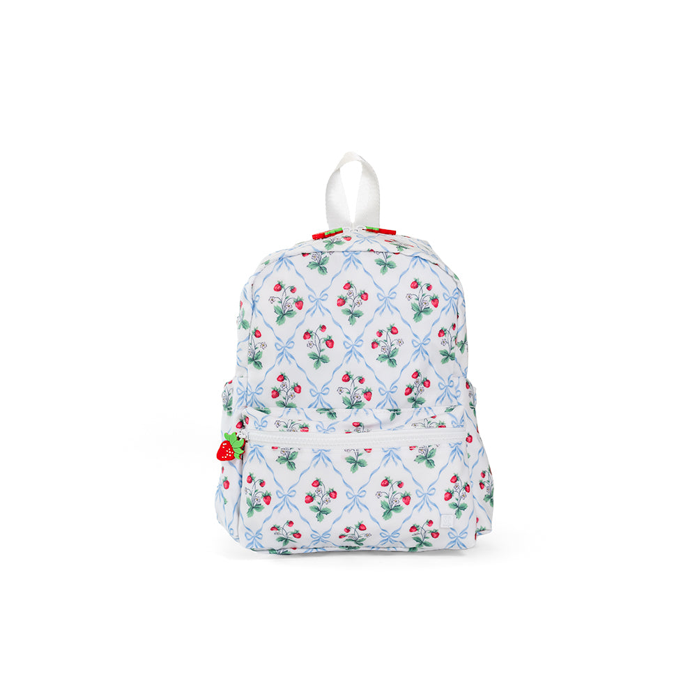 TRVL Design | Mini Backer in Berry Nice