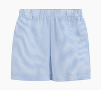 Lil Cactus Blue Easter Train T-Shirt and Seersucker Shorts Set