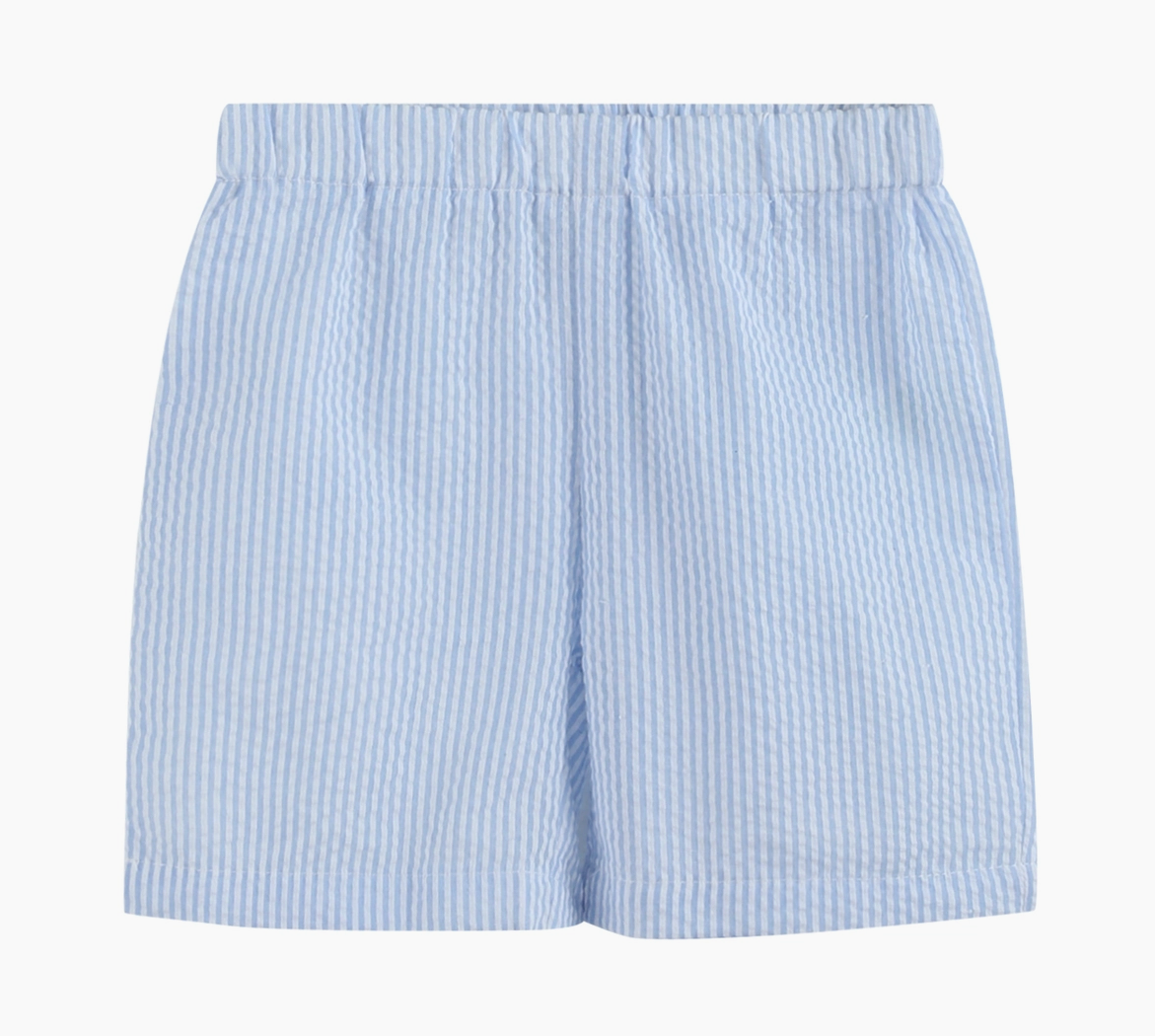 Lil Cactus Blue Easter Train T-Shirt and Seersucker Shorts Set