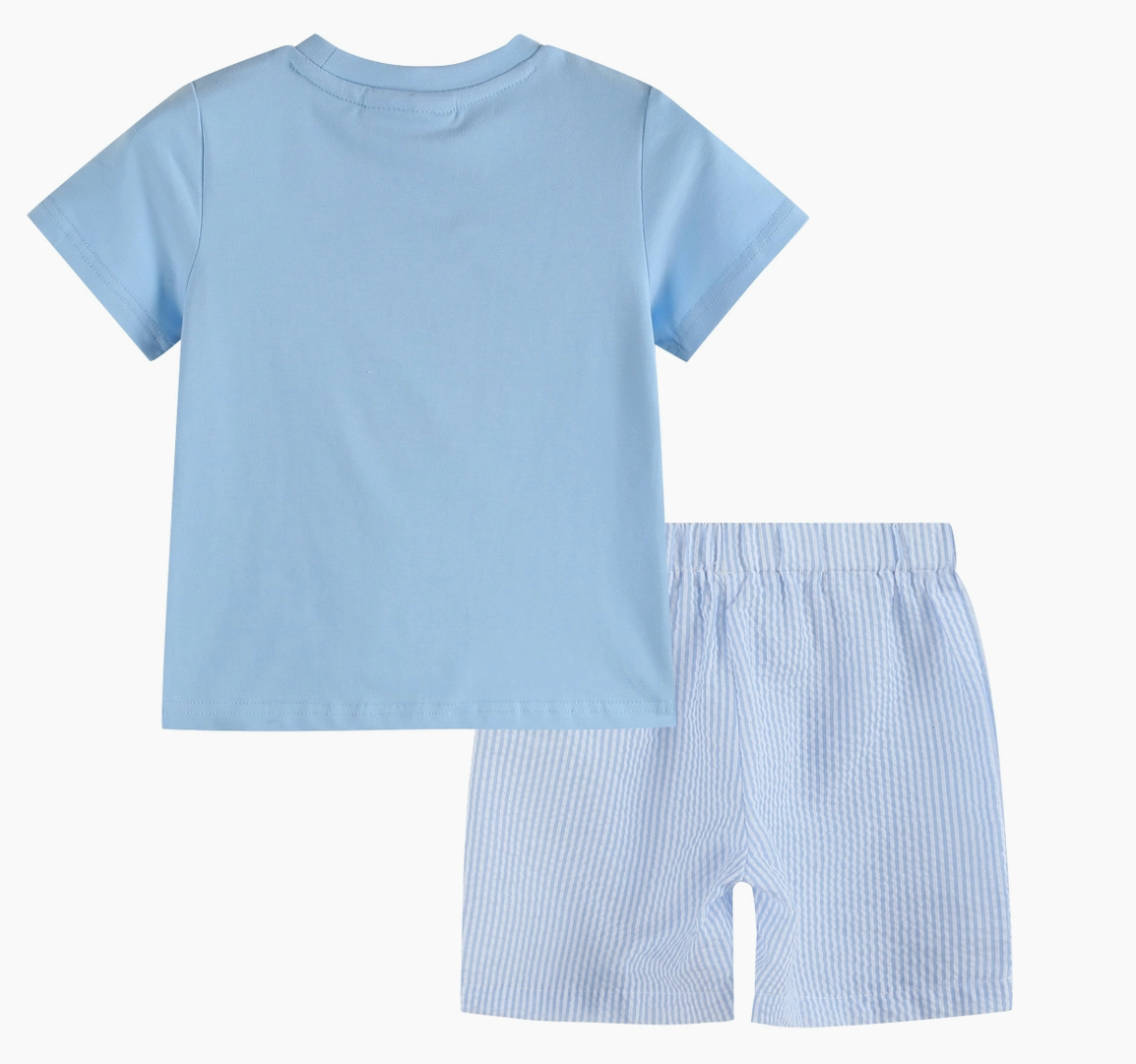 Lil Cactus Blue Easter Train T-Shirt and Seersucker Shorts Set
