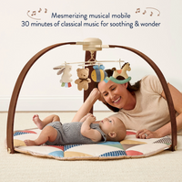 Itzy Ritzy | Music & Motion Activity Gym