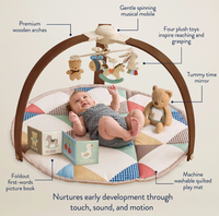 Itzy Ritzy | Music & Motion Activity Gym