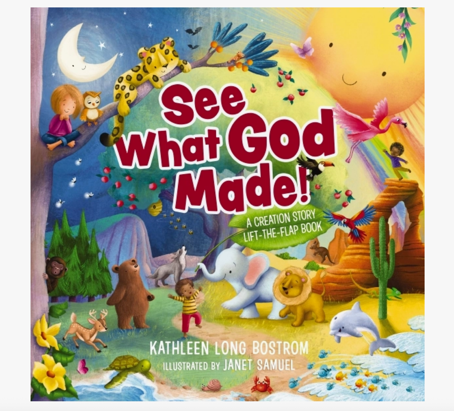 See What God Made Book