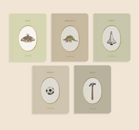 Our Little Library Vol. 3 | 5 Board Book Set |
