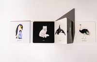 Baby's Black and White Contrast Book