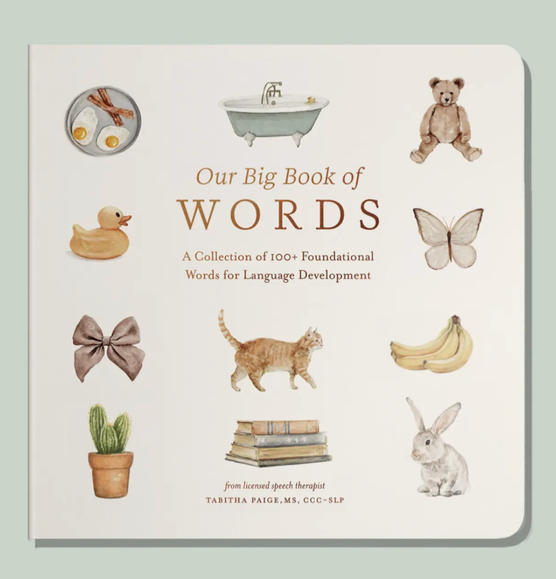 Our Big Book of First Words | Board Book |