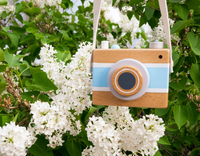 Jack Rabbit Creations | Blue Camera Music Box
