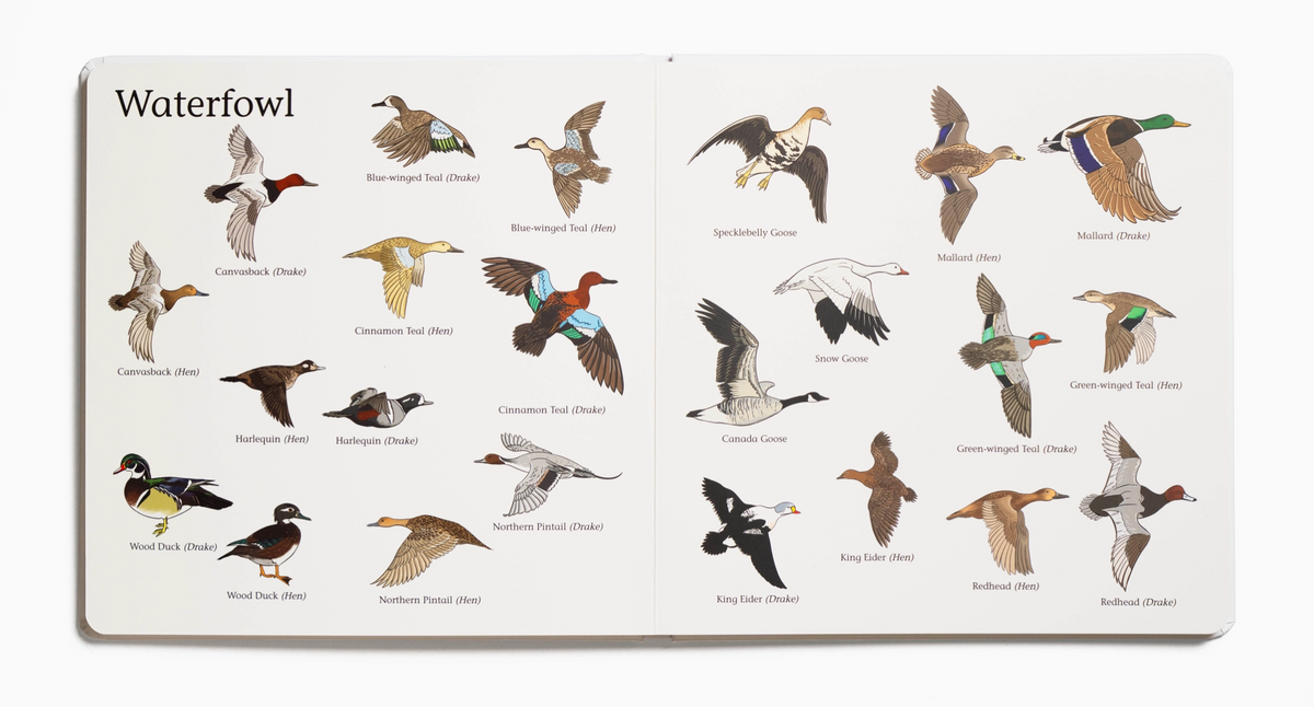 The Big Book of Hunting