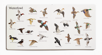 The Big Book of Hunting