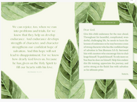 Harvest House | Prayers For My Baby Boy