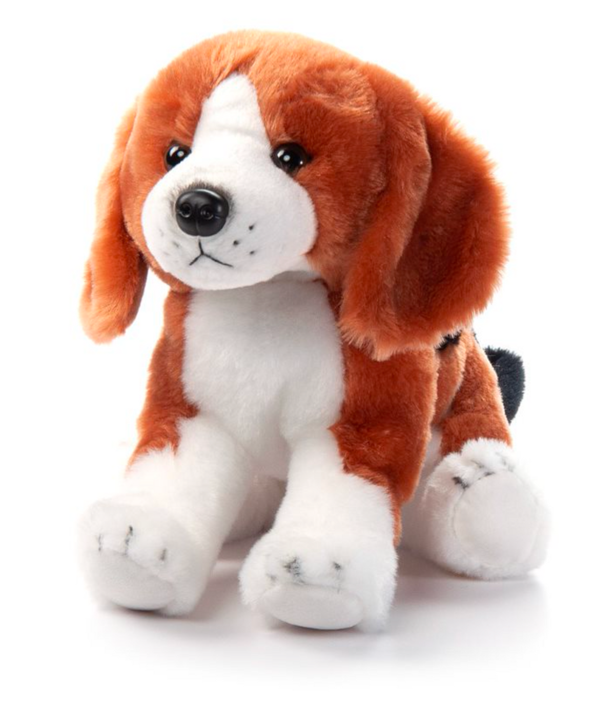 The Petting Zoo-Beagle Hound