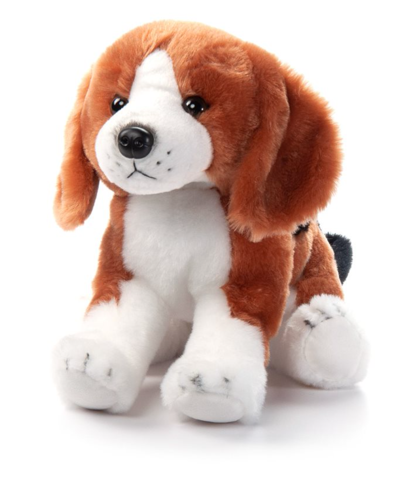 The Petting Zoo-Beagle Hound