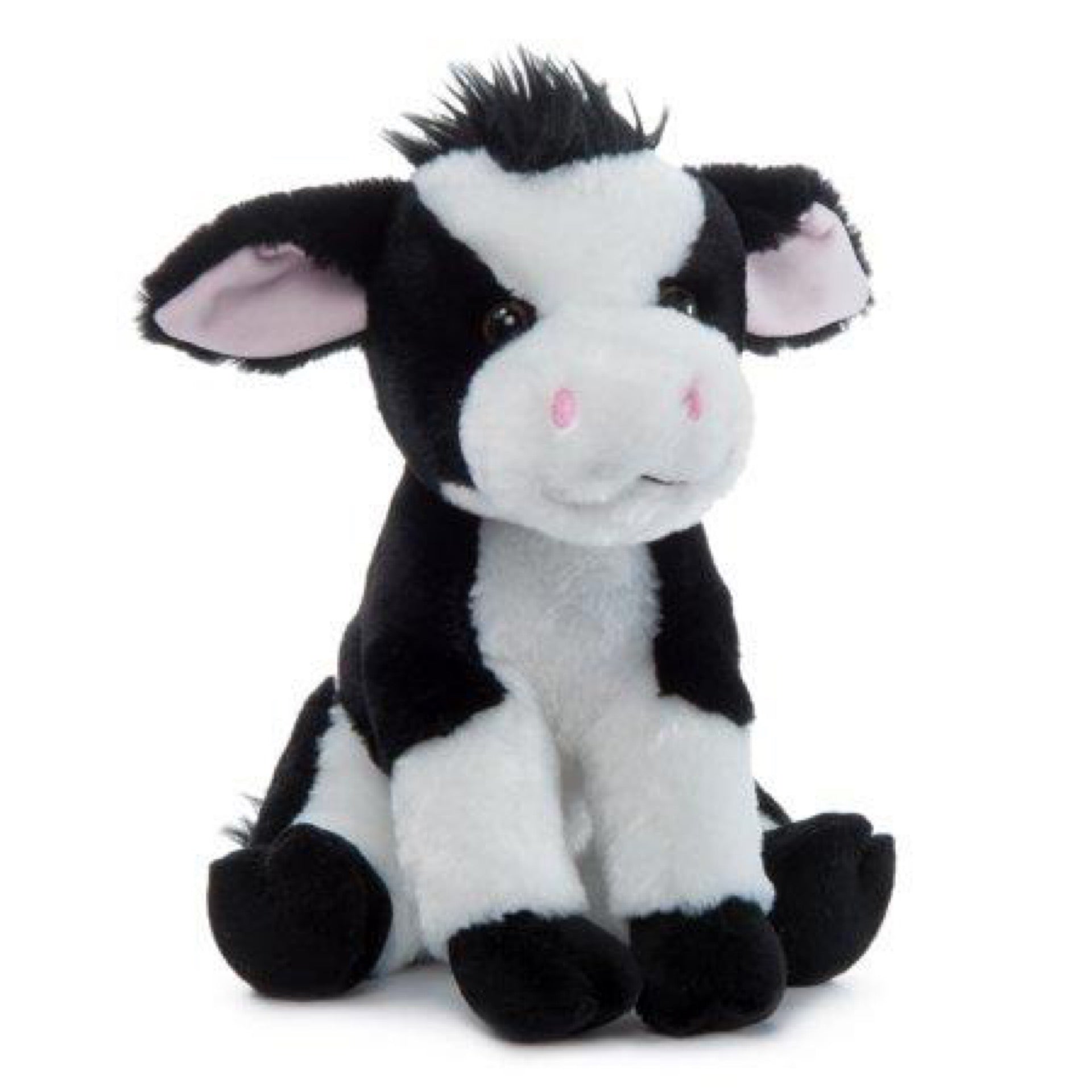 The Petting Zoo Cow