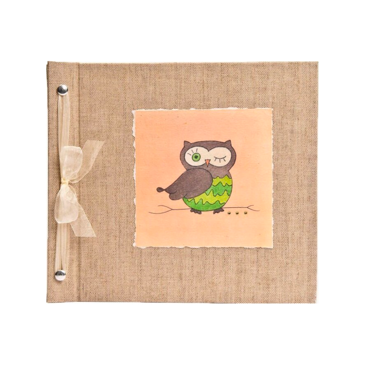 Hugs and Kisses Owl Memory Book (Newborn-5th Birthday)